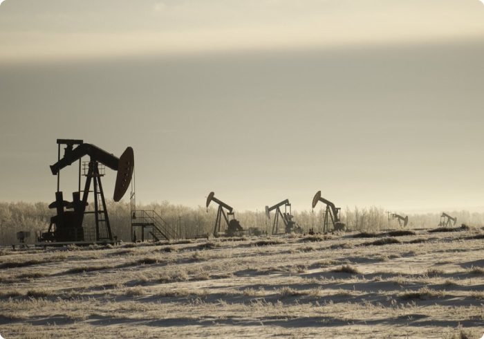 Oil field with pumpjacks